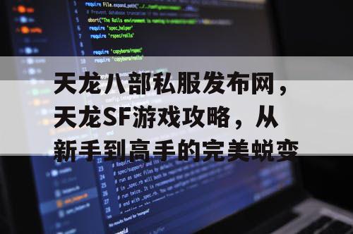 天龙八部私服发布网，天龙SF游戏攻略，从新手到高手的完美蜕变