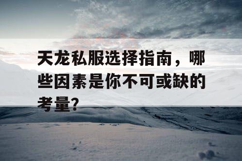 天龙私服选择指南，哪些因素是你不可或缺的考量？