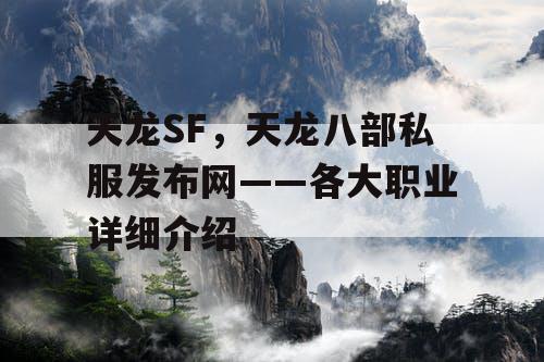 天龙SF，天龙八部私服发布网——各大职业详细介绍