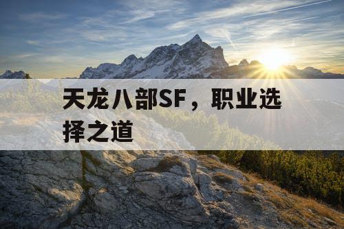 天龙八部SF，职业选择之道