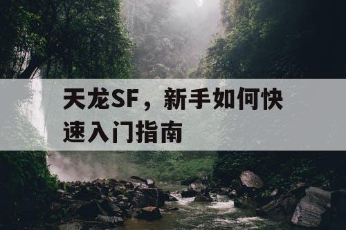 天龙SF，新手如何快速入门指南