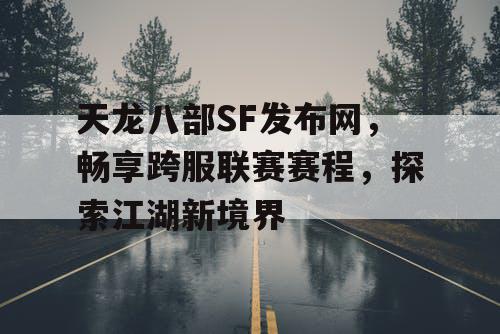 天龙八部SF发布网，畅享跨服联赛赛程，探索江湖新境界