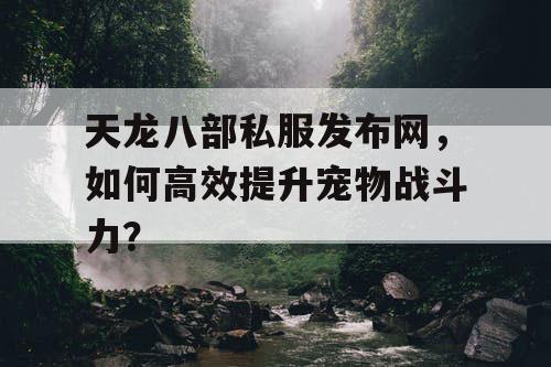 天龙八部私服发布网，如何高效提升宠物战斗力？