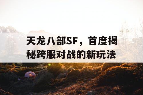 天龙八部SF，首度揭秘跨服对战的新玩法