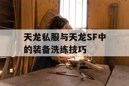 天龙私服与天龙SF中的装备洗练技巧