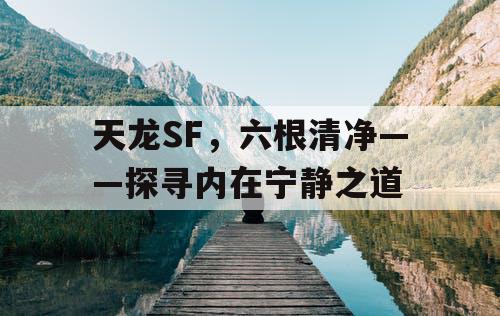 天龙SF，六根清净——探寻内在宁静之道