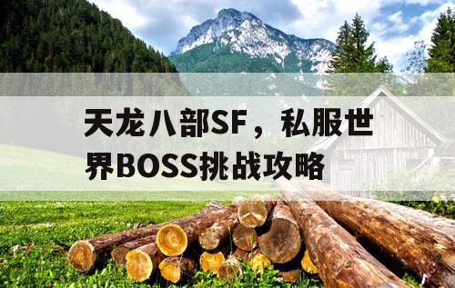 天龙八部 SF，私服世界 BOSS 挑战攻略