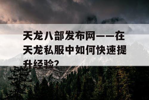 天龙八部发布网——在天龙私服中如何快速提升经验？