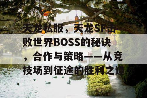 天龙私服，天龙SF击败世界BOSS的秘诀，合作与策略——从竞技场到征途的胜利之道