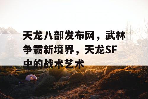 天龙八部发布网，武林争霸新境界，天龙SF中的战术艺术