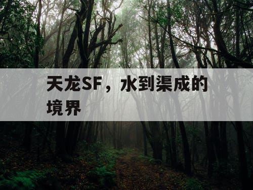 天龙SF，水到渠成的境界