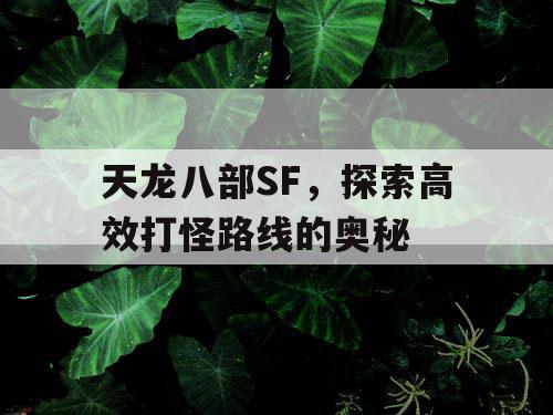 天龙八部SF，探索高效打怪路线的奥秘