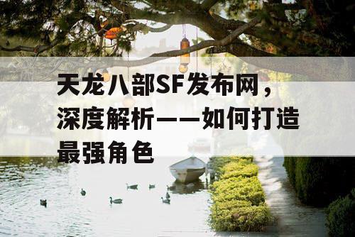 天龙八部SF发布网，深度解析——如何打造最强角色