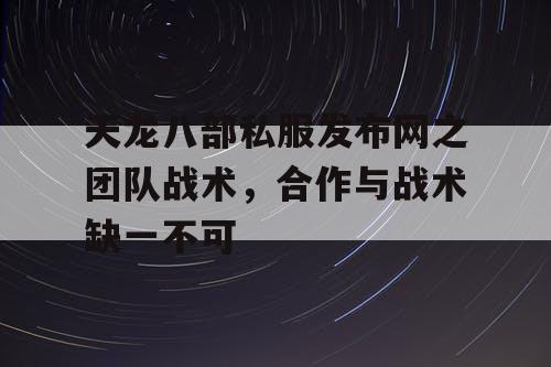 天龙八部私服发布网之团队战术，合作与战术缺一不可