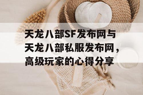 天龙八部 SF发布网”与“天龙八部私服发布网”，高级玩家的心得分享