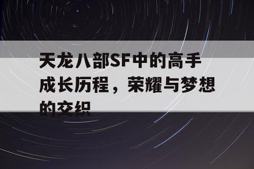 天龙八部SF中的高手成长历程，荣耀与梦想的交织