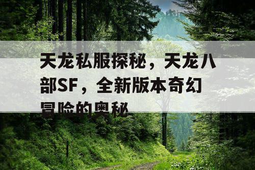 天龙私服探秘，天龙八部SF，全新版本奇幻冒险的奥秘