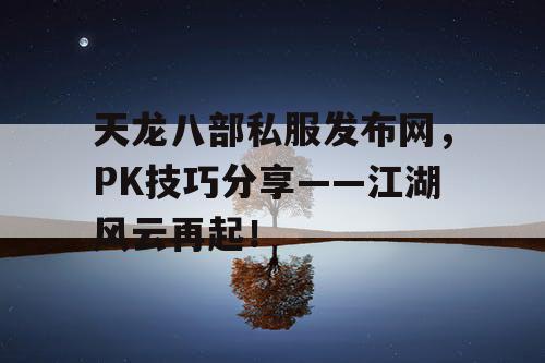 天龙八部私服发布网，PK 技巧分享——江湖风云再起！