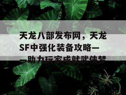 天龙八部发布网，天龙SF中强化装备攻略——助力玩家成就武侠梦