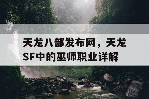 天龙八部发布网，天龙SF中的巫师职业详解