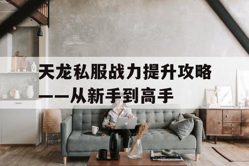 天龙私服战力提升攻略——从新手到高手