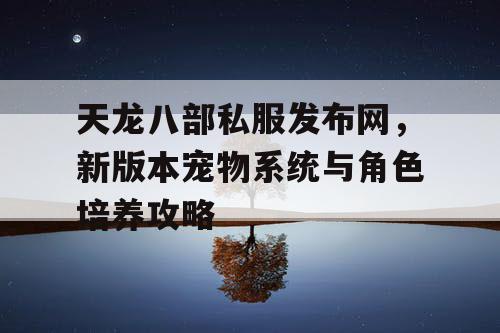 天龙八部私服发布网，新版本宠物系统与角色培养攻略