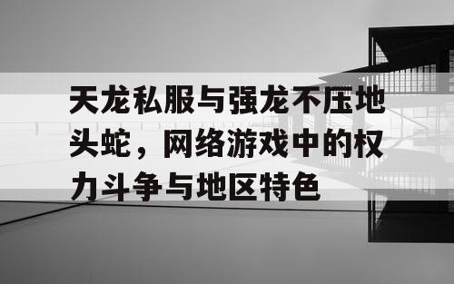 天龙私服与强龙不压地头蛇，网络游戏中的权力斗争与地区特色