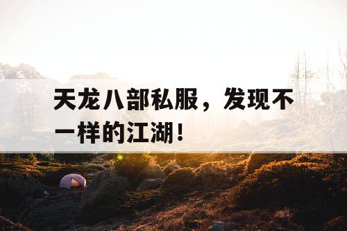 天龙八部私服，发现不一样的江湖！