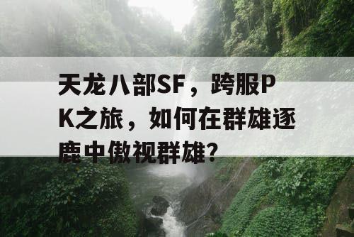 天龙八部SF，跨服PK之旅，如何在群雄逐鹿中傲视群雄？