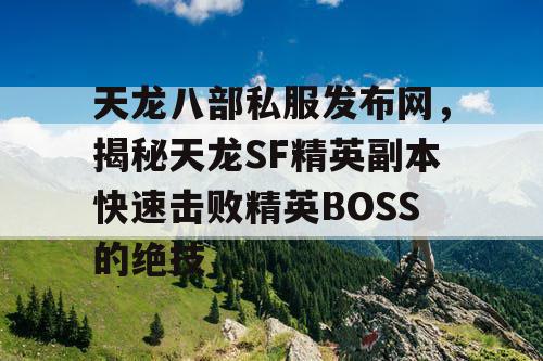 天龙八部私服发布网，揭秘天龙SF精英副本快速击败精英BOSS的绝技