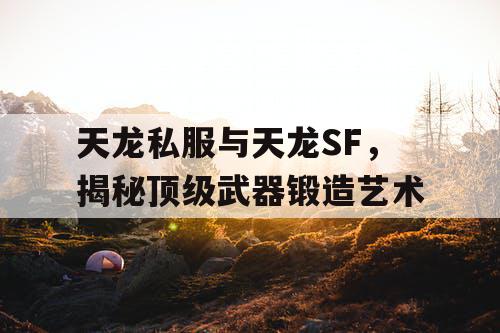 天龙私服与天龙SF，揭秘顶级武器锻造艺术