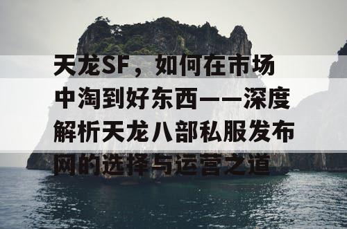 天龙SF，如何在市场中淘到好东西——深度解析天龙八部私服发布网的选择与运营之道