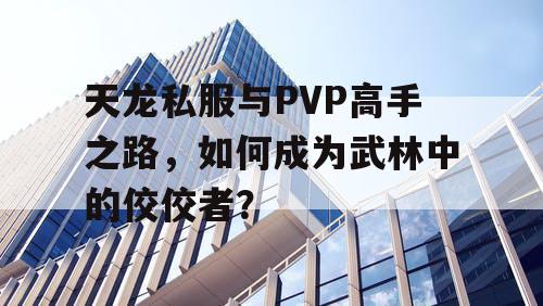 天龙私服与PVP高手之路，如何成为武林中的佼佼者？