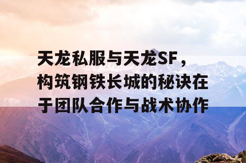 天龙私服与天龙SF，构筑钢铁长城的秘诀在于团队合作与战术协作