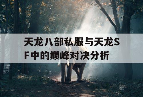 天龙八部私服与天龙SF中的巅峰对决分析