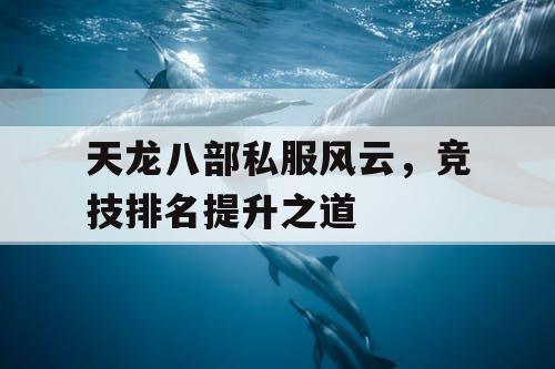 天龙八部私服风云，竞技排名提升之道