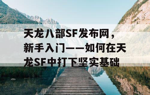 天龙八部SF发布网，新手入门——如何在天龙SF中打下坚实基础