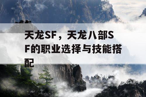 天龙SF，天龙八部SF的职业选择与技能搭配