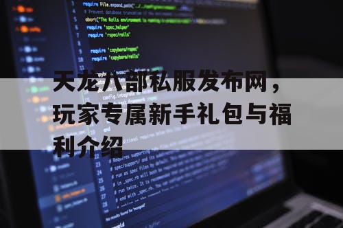 天龙八部私服发布网——玩家专属新手礼包与福利介绍