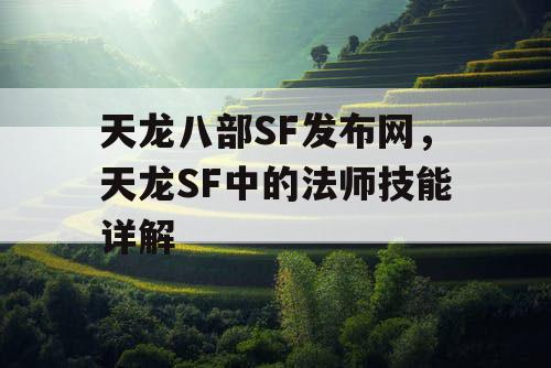 天龙八部SF发布网，天龙SF中的法师技能详解