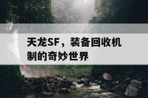 天龙SF，装备回收机制的奇妙世界