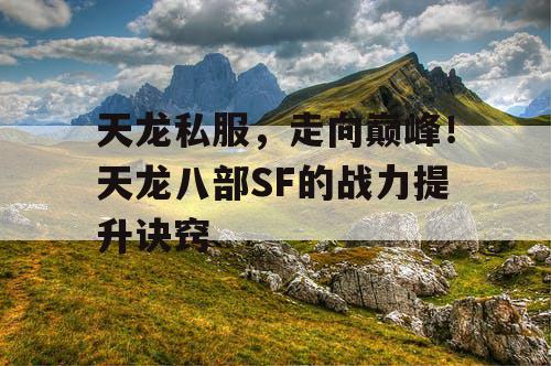 天龙私服，走向巅峰！天龙八部SF的战力提升诀窍