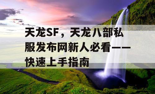 天龙SF，天龙八部私服发布网新人必看——快速上手指南