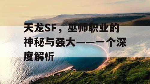 天龙SF，巫师职业的神秘与强大——一个深度解析