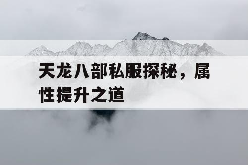 天龙八部私服探秘，属性提升之道