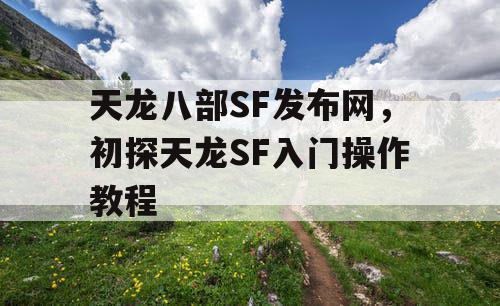 天龙八部SF发布网，初探天龙SF入门操作教程