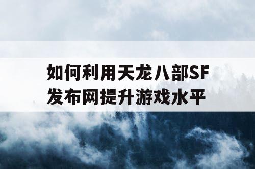 如何利用天龙八部SF发布网提升游戏水平