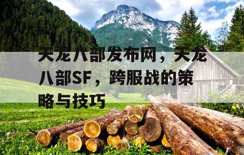 天龙八部发布网，天龙八部SF，跨服战的策略与技巧