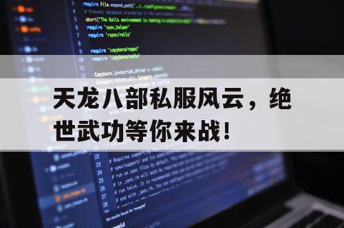 天龙八部私服风云，绝世武功等你来战！