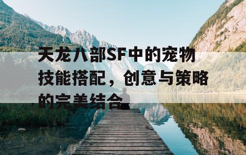 天龙八部SF中的宠物技能搭配，创意与策略的完美结合